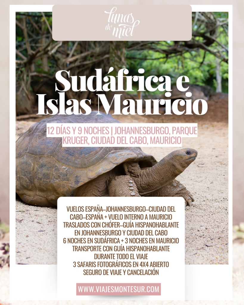 Luna de Miel en Sudáfrica y Mauricio: Safari y Playas del Índico