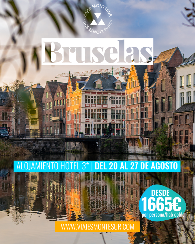bruselas