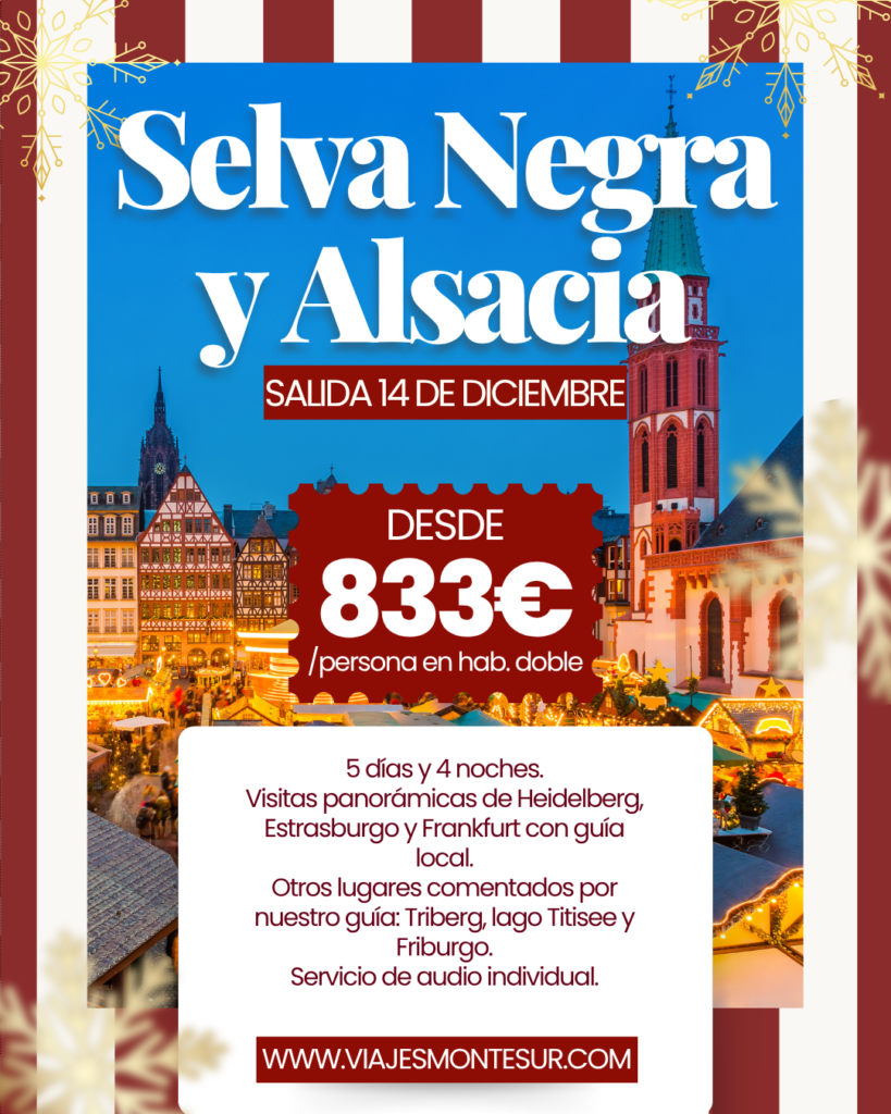 Mercadillos de Navidad en la Selva Negra y Alsacia: Heidelberg, Estrasburgo y Frankfurt en 5 días desde Madrid